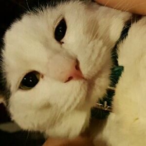 Meet your Posher, Bridgette