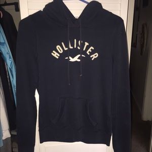 hollister hoodie