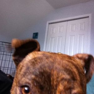 Meet your Posher, Logan