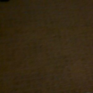 Meet your Posher, Lili