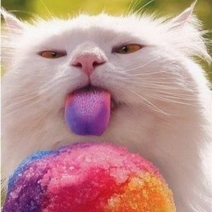 Meet your Posher, Eileen