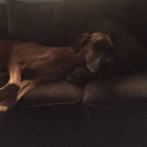 Meet your Posher, Melissa