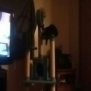 Meet your Posher, Connie