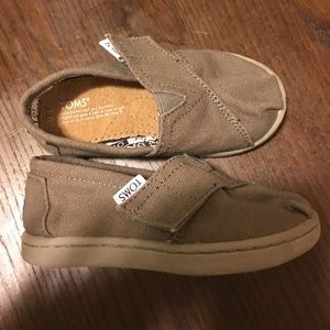 Toddler TOMS shoes