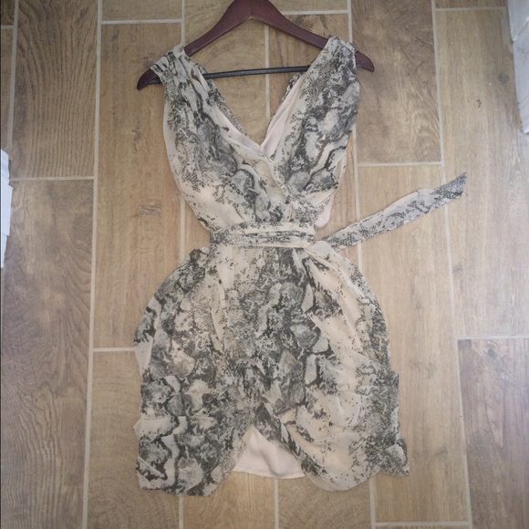 H&M Snake-Print Dress