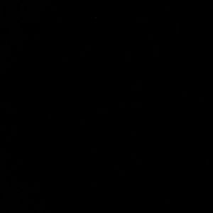 Meet your Posher, Shelly