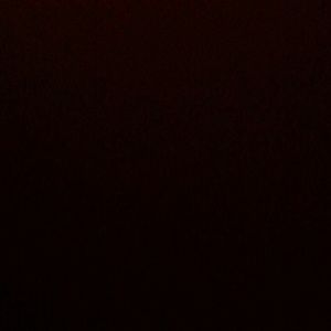 Meet your Posher, Kat