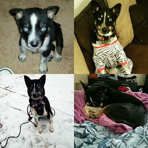 Meet the seller - Picture 2 of 4