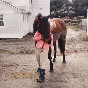 Meet your Posher, Lauren