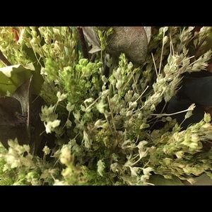 Meet your Posher, Ver