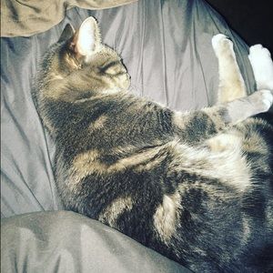 Meet your Posher, Sara