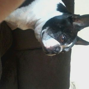 Meet your Posher, Liz