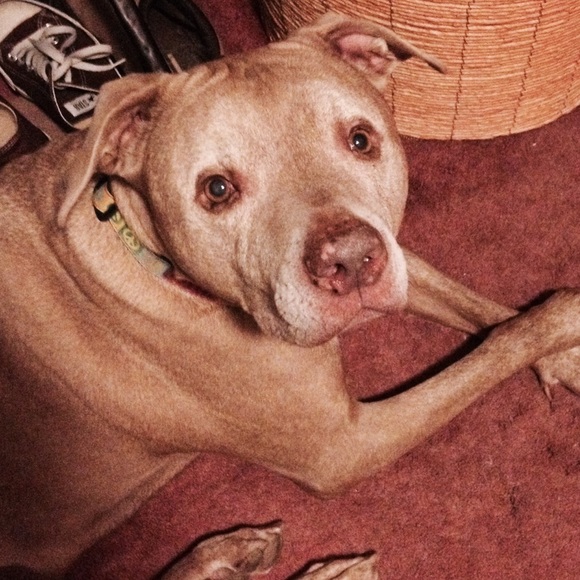 Meet your Seller/Buyer - Picture 2 of 4