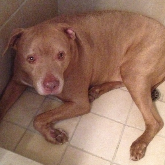 Meet your Seller/Buyer - Picture 3 of 4