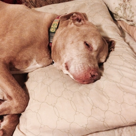 Meet your Seller/Buyer - Picture 4 of 4