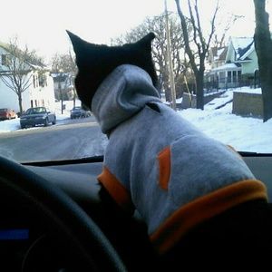 Meet your Posher, Carla