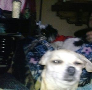 Meet your Posher, Jeni