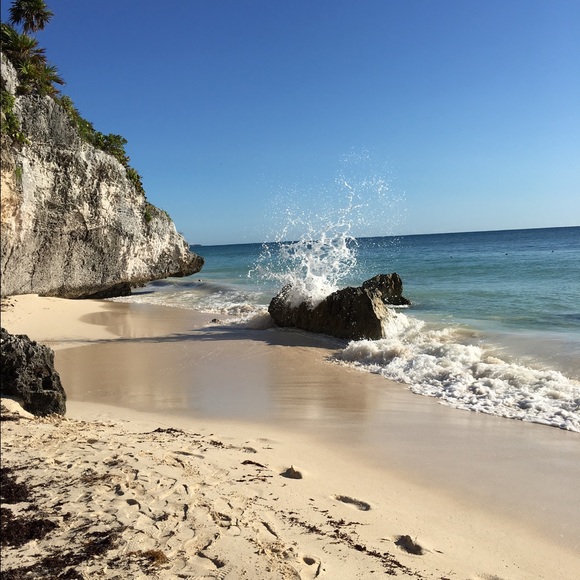 Meet your Posher, Sasha