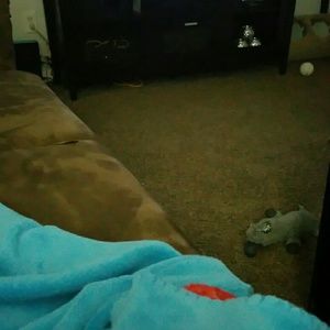 Meet your Posher, Bick