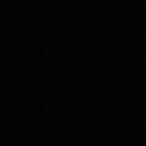 Meet your Posher, Hazel