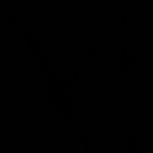 Meet your Posher, Jayden