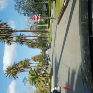 Meet your Posher, Tikva