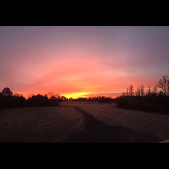 Meet your Posher, Savannah - Picture 1 of 1