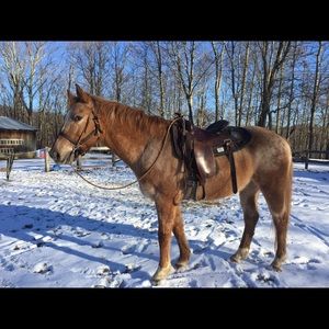 Meet your Posher, Chevelle