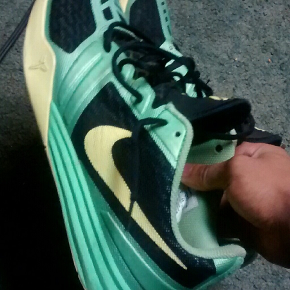 Kobes - Picture 2 of 2