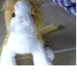 Meet your Posher, Kittycat