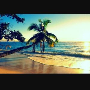 Meet your Posher, Maile