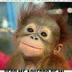 Meet your Posher, Dora