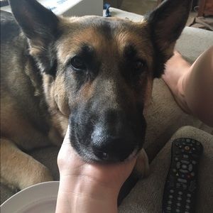 Meet your Posher, Jamie