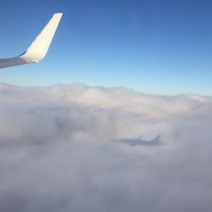 Meet your Posher, Brittney