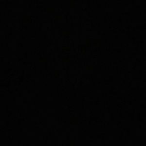 Meet your Posher, Lenae