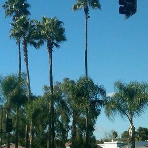 Meet your Posher, Niki