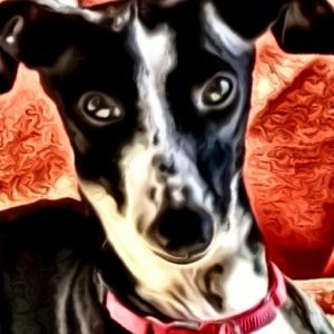 Meet your Posher, Gail