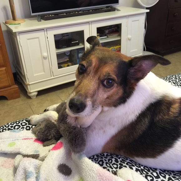 Meet your Posher, Caitlin