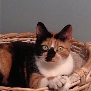 Meet your Posher, Ebony