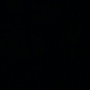 Meet your Posher, Maxine