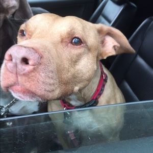 Meet your Posher, Vicki