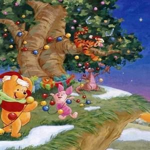 Meet your Posher, Kaytee