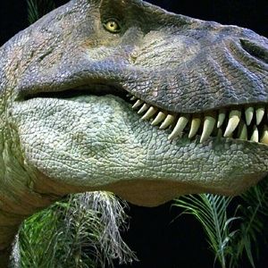 Meet your Posher, Cassie