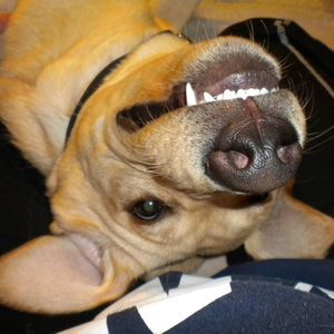 Meet your Posher, Cathy