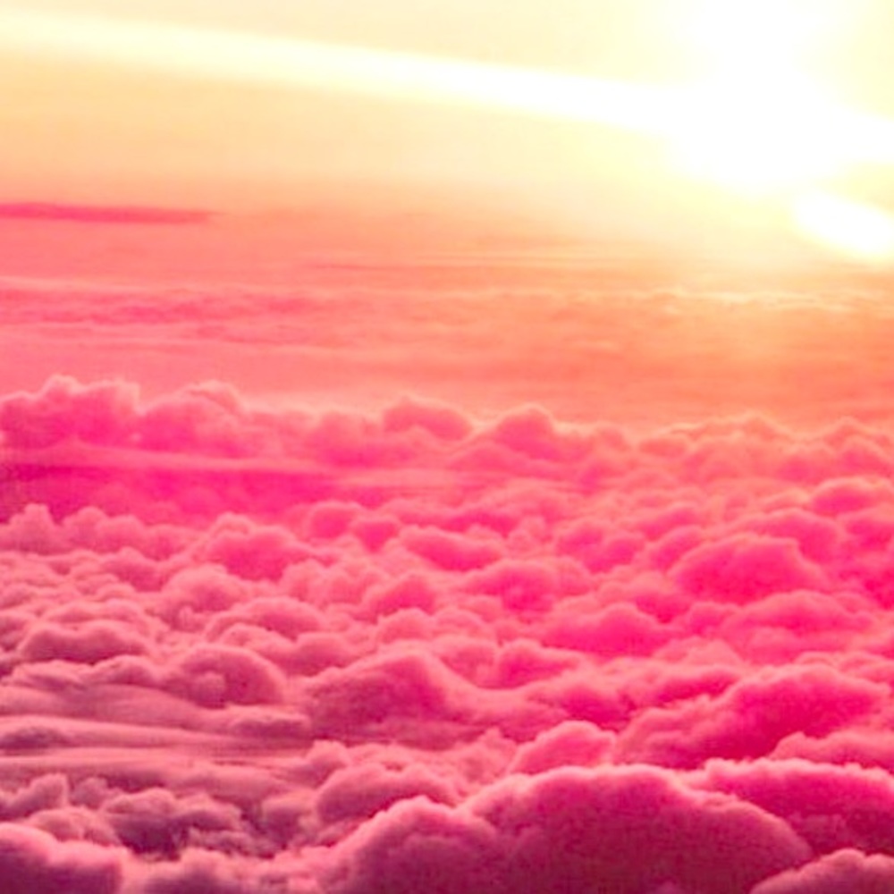 Meet your Posher, Justine