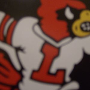 Meet your Posher, Lana-rae