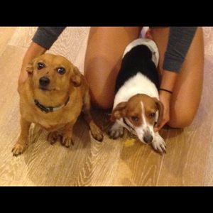 Meet your Posher, Katherine