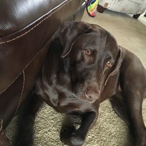 Meet your Posher, Beth