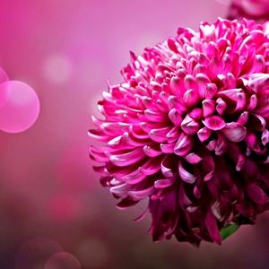 Meet your Posher, Pb