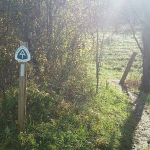 Meet your Posher, Tom